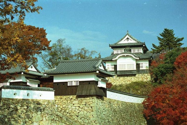 【兵庫県内発】 紅葉に染まる天空の山城「備中松山城」と雪舟ゆかりの「井山宝福寺」 日帰り2